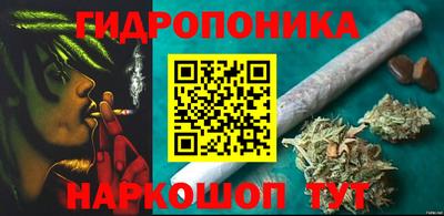 СК Брянск
