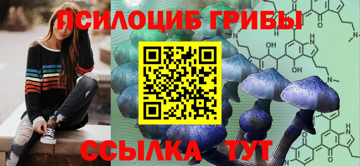 Псилоцибиновые грибы ЛСД Белореченск